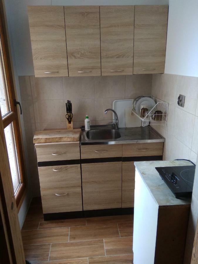 Janickowa Ostoja Apartment Закопане Екстериор снимка